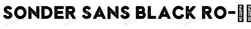 Sonder Sans Black Ro字体转换